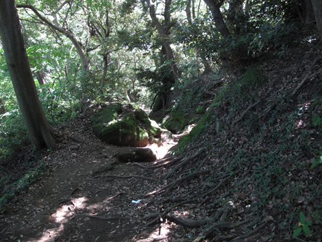20150715hike (78)
